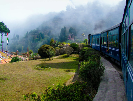 Explore India with Tailor-Made Journeys for Every Traveler