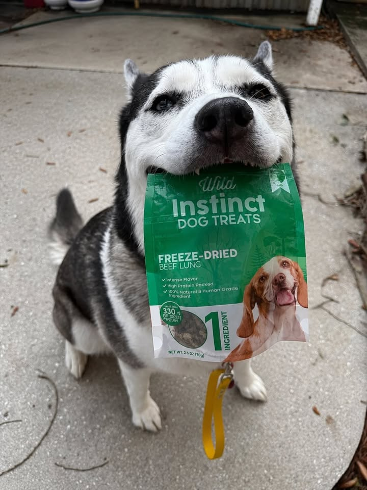 How to Choose Organic Beef Lung for Dogs as a Healthy Treat