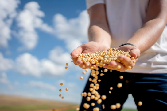 How to Choose the Right Partner for Specialized Ingredient Sourcing