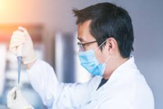 A Non-Technical Guide to Assessing Drug Absorption, Distribution, and Safety Profiles